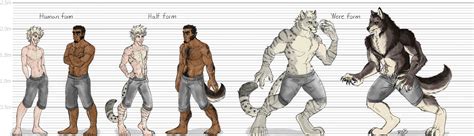 Werecat vs werewolf